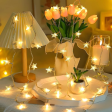 Star string fairy LED Lights for Diwali and Christmas decoration, Warm White, 230 Volts- Apollo Universe Supply