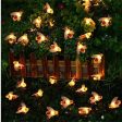 Apollo Universe Honey Bee Fairy String Lights, Plug in String Lights 16 LED Warm White Lights for Christmas, New Year, Weeding Indoor Outdoor Decoration (Two Pin Plug), Pack of 3 For Discount