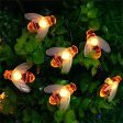 Apollo Universe Honey Bee Fairy String Lights, Plug in String Lights 16 LED Warm White Lights for Christmas, New Year, Weeding Indoor Outdoor Decoration (Two Pin Plug), Pack of 1 Hot on Sale